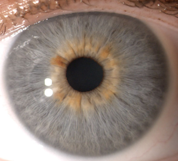 Augenfarben alle Farbige Kontaktlinsen